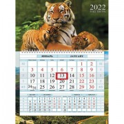 Календарь квартальный с бегунком, 2022 год, 1 блок, 1 гребень, Соло-Люкс, 'Год тигра', HATBER, 1Кв1гр4ц_24613