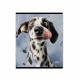 Тетрадь А5 48 л. ERICH KRAUSE, скоба, клетка, TWIN-лак, 'Goofy' (микс в спайке), 64871