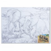 Холст на картоне с контуром BRAUBERG ART 'CLASSIC', 'Слоны', 30х40 см, грунтованный, 100% хлопок, 190631
