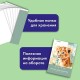 Папка для акварели БОЛЬШАЯ А3, 20 л., 200 г/м2, 297х420 мм, BRAUBERG АКАДЕМИЯ, 'Львёнок', 117745