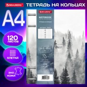 Тетрадь на кольцах БОЛЬШАЯ А4 (240х310 мм), 120 л., под кожу, BRAUBERG VISTA, 'Туман', 404515