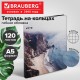 Тетрадь на кольцах А5, 175х215 мм, 120 л., под кожу, BRAUBERG VISTA, 'Esthetics', 405208
