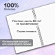 Тетради ДЭК А4 96 л. КОМПЛЕКТ 2 шт., BRAUBERG, гребень, клетка, 80 г/м2, Soft-Touch, 'Minimal', 405585