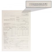 Бланк бухгалтерский типографский 'Авансовый отчет нового образца', (195х270 мм), СКЛЕЙКА 100 шт., 130012