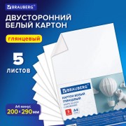 Картон белый А4 МЕЛОВАННЫЙ (белый оборот) 5 листов, BRAUBERG, 200х290мм, Код 1С, 116626