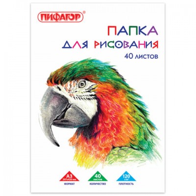 Папка для рисования БОЛЬШОГО ФОРМАТА А3, 40 л., 120 г/м2, ПИФАГОР, 297х420 мм, 'Попугай', 129219