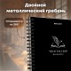 Дневник читательский А5, 58 листов, гребень, пластиковая обложка, картон, BRAUBERG, 'Мир Книг', 118526