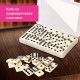 Игра настольная 'ДОМИНО', пластиковый кейс, 17х10 см, ЗОЛОТАЯ СКАЗКА, 662296