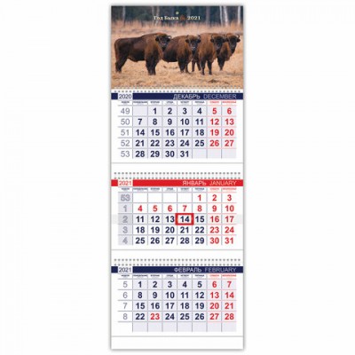 Календарь квартальный с бегунком, 2021 год, 3-х блочный, 3 гребня, 'ОФИС', 'Год быка', HATBER, 3Кв3гр3_23510