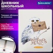 Дневник 1-11 класс 48л, кожзам (твердая), печать, цветной блок, BRAUBERG, Сова, 106952