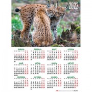 Календарь настенный листовой, 2022г, формат А2 45х60см, Дикие кошки, HATBER, Кл2_2604, Кл2_26042