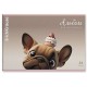 Альбом д/рис. А4 24л., скоба, обложка картон, ErichKrause, 203х297мм, Frenchie (микс, 63446