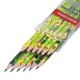 Набор карандашей чернографитных с принтом BRAUBERG 'AVOCADO', 12 штук, HB, с ластиком, корпус ассорти, 182032