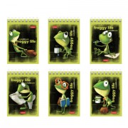 Блокнот МАЛЫЙ ФОРМАТ А7, 40 л., гребень, картон, клетка, HATBER, 'Лягух Кир', 081184, 40Б7В1гр