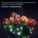 Электрогирлянда-нить комнатная 'Роса' 2 м, 20 LED, холодный белый свет, на батарейках, ЗОЛОТАЯ СКАЗКА, 591932