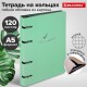 Тетрадь на кольцах А5 160х212 мм, 120 листов, картон, фольга, клетка, BRAUBERG, 'Pastel', 404734