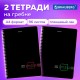 Тетради КОМПЛЕКТ 2 шт., А4, 96 л., BRAUBERG гребень, клетка, глянцевый лак, 'Dark', 404390