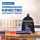 Мешок для обуви BRAUBERG, с петлей, светоотражающая полоса, 2 отделения, 46х36 см, Tyrannosaur, 272399