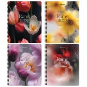 Тетради ДЭК А5 96 л. КОМПЛЕКТ 4 шт., BRAUBERG, гребень, клетка, 80 г/м2, Soft-Touch, 'Aesthetics', 405583