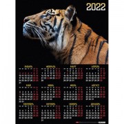 Календарь настенный листовой, 2022г, формат А2 45х60см, Год тигра, HATBER, Кл2_25127