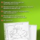 Папки-файлы БОЛЬШОГО ФОРМАТА (297х420 мм) А3, ВЕРТИКАЛЬНЫЕ, КОМПЛЕКТ 50 шт., 35 мкм, STAFF 'Manager', 225769