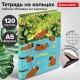 Тетрадь на кольцах А5 160х212 мм, 120 листов, картон, выборочный лак, клетка, BRAUBERG, 'Капибары', 404731