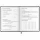 Дневник 1-4 класс 48 л., кожзам (гибкая), печать, фольга, ЮНЛАНДИЯ, 'Котик', 106923