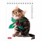 Блокнот МАЛЫЙ ФОРМАТ А6 110х145 мм, 40 л., гребень, лакированная обложка, клетка, HATBER, 'Милые Котята', 004667, 40Б6B1гр