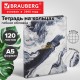 Тетрадь на кольцах А5, 175х215 мм, 120 л., под кожу, BRAUBERG VISTA, 'Мрамор', 405207