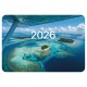 Календарь карманный на 2026 г, BRAUBERG, 64х93 мм, АССОРТИ №1, 20 видов, 117303