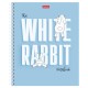 Тетрадь А5, 48 л., HATBER гребень, клетка, обложка картон, 'Следуй за белым кроликом' (микс), 087016, 48Т5В1гр