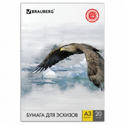 Папка для рисования БОЛЬШОГО ФОРМАТА А3, 20 л., 160 г/м2, BRAUBERG, 297х420 мм, 'Орел', 125228