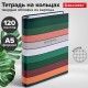 Тетрадь на кольцах А5 175х215 мм, 120 листов, твердый картон, клетка, BRAUBERG, 'Classic', 404718