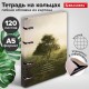 Тетрадь на кольцах А5 160х212 мм, 120 листов, картон, матовая ламинация, клетка, BRAUBERG, 'Nature', 404728