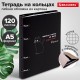 Тетрадь на кольцах А5 160х212 мм, 120 листов, картон, матовая ламинация, клетка, BRAUBERG, 'Просто Кот', 404723