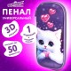 Пенал ЮНЛАНДИЯ, 1 отделение, 1 откидная планка, карман, мягкое покрытие ЭВА, 22х10х5 см, 'Милый кот', 273184