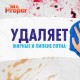 Средство для мытья пола и стен 1 л, MR. PROPER (Мистер Пропер) 'Лимон', 1008196