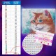 Картина стразами (алмазная мозаика), 30х40 см, ОСТРОВ СОКРОВИЩ 'Кот', без подрамника, 663859