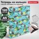 Тетрадь на кольцах А5 160х212 мм, 120 листов, картон, выборочный лак, клетка, BRAUBERG, 'Карпы Кои', 404730