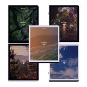 Тетради ДЭК А5 48 л. КОМПЛЕКТ 5 шт. BRAUBERG скоба, клетка, матовая ламинация, 'Природа', 404954