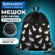 Мешок для обуви BRAUBERG БОЛЬШОЙ, с ручкой, карман на молнии, сетка, 49х41 см, 'Crazy geese', 274638