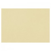 Бумага для пастели (1 лист) FABRIANO Tiziano А2+ (500х650 мм), 160 г/м2, песочный, 52551006