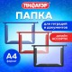Папка для тетрадей А4 ПИФАГОР, пластик, молния сверху, прозрачная, АССОРТИ, 274471