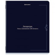 Тетрадь предметная VINTAGE 48 л., SoftTouch, ЛИТЕРАТУРА, линия, подсказ, BRAUBERG, 405156
