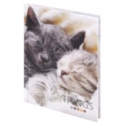 Блокнот МАЛЫЙ ФОРМАТ (110х147 мм), А6, 80 л., твёрдый, клетка, STAFF, 'Котики', 114439