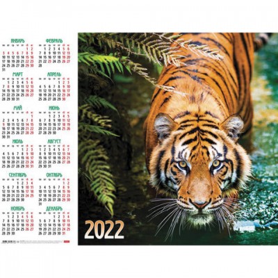 Календарь настенный листовой, 2022г, формат А2 45х60см, Год тигра1, HATBER, Кл2_25147