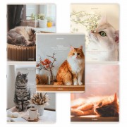 Тетрадь А5, 48 л., BRAUBERG, скоба, клетка, матовая ламинация, 'Cats', (микс в спайке), 405334