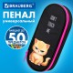 Пенал-футляр BRAUBERG, 1 отделение, органайзер, полиэстер, 22x9х5 см, 'Сердитый котенок', 273566