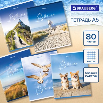 Тетрадь А5 80л. BRAUBERG скоба, клетка, ДИЗАЙН 2, Код_1С, 404410