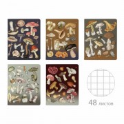Тетрадь А5, 48 л., АЛЬТ скоба, клетка, матовая ламинация, 'Грибная феерия' (5 видов), 7-48-1325